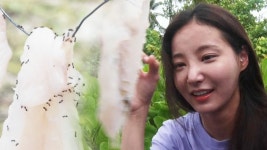 연우 : 클립영상 : SBS SBS