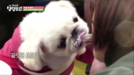 강예원 : 클립영상 : SBS SBS