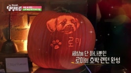 강예원 : 클립영상 : SBS 강예원 검색결과 | SBS 클립영상 검색