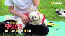 강예원 : 클립영상 : SBS SBS