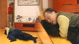 레슬링 : 클립영상 : SBS SBS