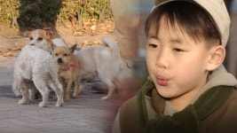 순풍 산부인과 : 클립영상 : SBS SBS