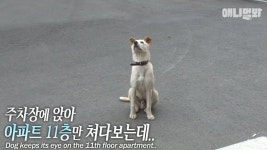 주차장 : 클립영상 : SBS SBS