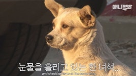 만삭 : 클립영상 : SBS SBS