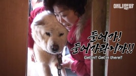 훈육 : 클립영상 : SBS 훈육 검색결과 | SBS 클립영상 검색