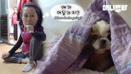 pd : 클립영상 : SBS SBS