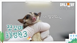 슈가 : 클립영상 : SBS SBS