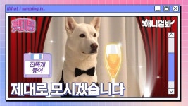 02 : 클립영상 : SBS SBS