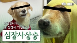 뽀건소 : 클립영상 : SBS 뽀건소 검색결과 | SBS 클립영상 검색