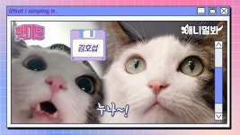 연하 : 클립영상 : SBS SBS