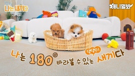 ڡ̡75 : 클립영상 : SBS SBS