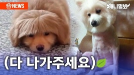 미용 : 통합검색 : SBS SBS