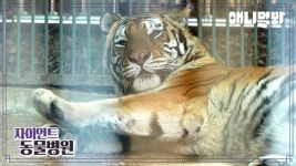 백두산 : 통합검색 : SBS SBS