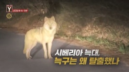 궁금한 이야기 y : 통합검색 : SBS 궁금한 이야기 y 검색결과 | SBS 통합 검색