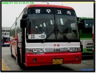 5/9 잡사~ - 버스 갤러리