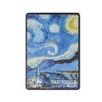 상품 이미지 보기 : AXXEN(액센) Van Gogh Series V100 TLC SSD [120GB/가이드미포함]