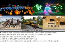 모두투어 - [진에어연합] 제주 실속 ´야(夜)놀자´ 해마호텔(관광호텔) 3일