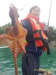 바다낚시 > 점주선장조황 > <은하수호> 여수 돌문어 어제 조황입니다