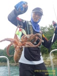 바다낚시 > 점주선장조황 >  여수 돌문어 선방했습니다.