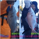 바다낚시 > 점주선장조황 > 오후 타이라바  조황  입니다