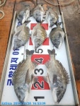 (南)남해조황 - (궁항레저) 흘림 카고52,52,46,. .4짜감성돔외 마리수 빅 힛트