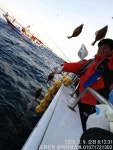 (東)동해조황 - 9일 공현진항 블랙이글스호 대왕어구연날리기 대회입니다.