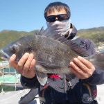 (南)남해조황 - 공룡호, 봄내만 감성돔흘림 3방총쏘고 48,46,36,35,34.