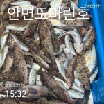 (西)서해조황 - 2020.06.27 안면도마린호 백조기출조