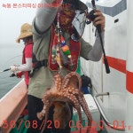 쭈.갑 먹물조황+ - 녹동몬스터 문어조황