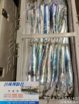 갈치조황++ - 통영신세계피싱 3지.4지.5지.6지까지 어름없이 이만큼