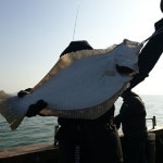 인천권조황 - Team Incheon.. << 루키나호 >>.. 11월 25일 수요일 2물.. <<갑광어>>