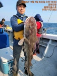 (東)동해조황 - 7일 공현진항 블랙이글스호 왕대구 대박이네요!! 가지아~~^^@