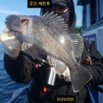 (西)서해조황 - 1월24일 군산세븐호 우럭조황정보 보고드립니다^^