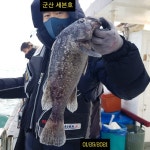 (西)서해조황 - 1월25일 우럭조황정보~^^