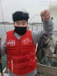 (西)서해조황 - 안면도시간배낚시 피싱게이트 선단 블랙펄호 4월17일 오전시간배 출항!