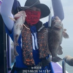 (西)서해조황 - 21.06.26 마검포 뉴미르호 다잡아 조황