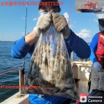 쭈.갑 먹물조황+ - 오천마린보이9월3일 쭈꾸미 대박조황