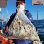 쭈.갑 먹물조황+ - 9월18일 오천마린보이 쭈갑조황정보