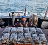 인천권조황 - 10월 30일 슈퍼노바호 갑오징어 조황