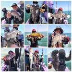 22.04.10 안면도무야호 작은선장 우럭출조 ( 뉴미르호 )