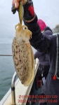 루어낚시조황+ - 6월19일 군산 아라호 대물갑 실시간 조황
