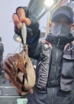 인천권조황 - 6월 20일 슈퍼노바호 대광어 & 왕갑이 조황