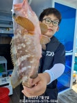 (南)남해조황 - 진프로피싱 9일 외수질-붉바리, 민어 93, 81, 81, 76, 74 계속되는 호조황