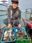 점주 선상조황(2022) 772 페이지 > 인낚ㅣ인터넷바다낚시