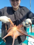해적선피싱)22일 오후 참돔&대부시리 마릿수 좋습니다!! (내일 오전 오후 예약가능)