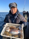 [고흥 화인호] 1월 21일 명절 심해갑오징어 선물