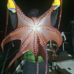 포항권 피문어 낚시 ~ 루어전용선사 빈스호 입니다^^