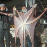 10.1~10.2일 삼치낚시 조황사진!! 저조했던2틀...