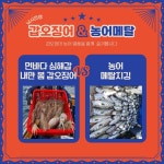 여수킹덤호) 내일 심해갑 10만.자리있습니다 4월2일내만갑탐사나갑니다 연락주세요01023004931