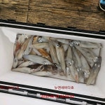 거제도뉴새바다호 한치